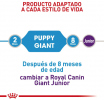 Giant Puppy